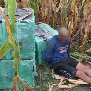 Contrabandist moldovean depistat într-un lan de