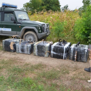 Contrabandist moldovean depistat într-un lan de