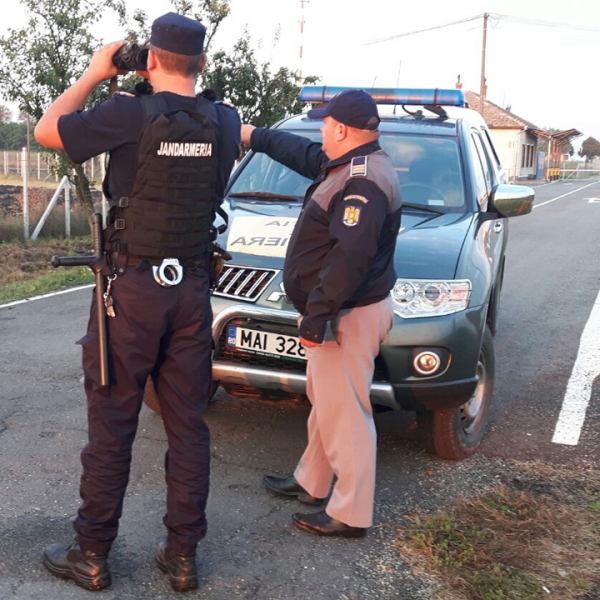 Joint actions in order to ensure public order and to increase the safety degree at the South-West border of Romania