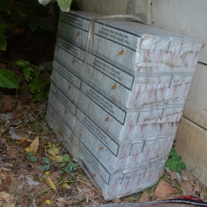 Reţea infracţională destructurată de poliţiştii de