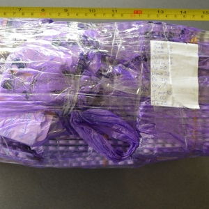 Contrabandă cu substanţe interzise, la malul Prutului