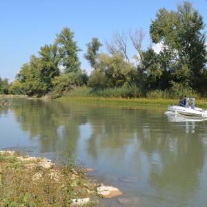 Contrabandă cu substanţe interzise, la malul Prutului