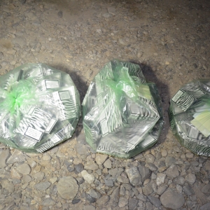 Cinci cetățeni români cercetați pentru