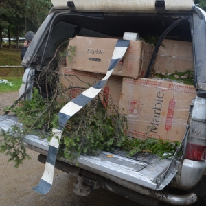 Focuri de armă pentru reținerea unui contrabandist de