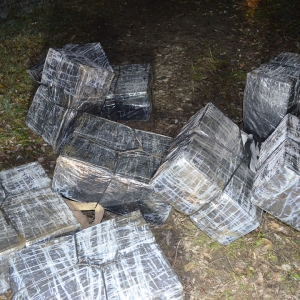 Acţiuni „în forţă” la frontiera de