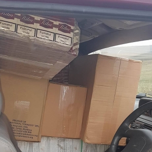 Câinele poliţist Ruv, accidentat mortal de un