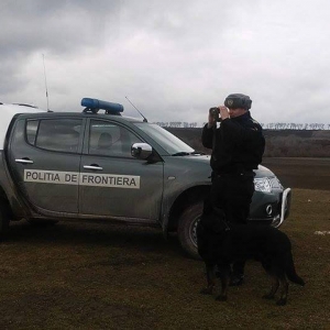 Câinele poliţist Ruv, accidentat mortal de un