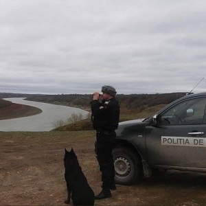 Câinele poliţist Ruv, accidentat mortal de un