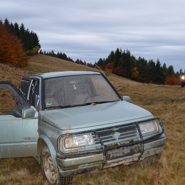 Peste 17.000 pachete de ţigări de contrabandă descoperite la frontiera verde şi în P.T.F. Siret