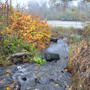 Aproximativ 37.000 de pachete cu ţigări de contrabandă,