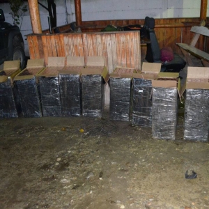 Aproximativ 37.000 de pachete cu ţigări de contrabandă,
