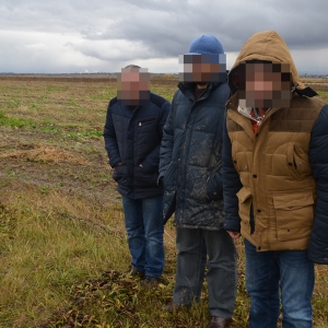 Doi turci şi un sirian opriţi din drumul ilegal spre