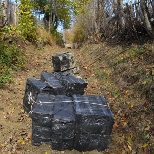 14.000 pachete de tigări de contrabandă confiscate la