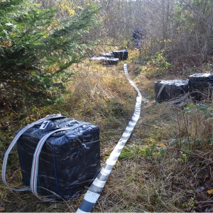 Ţigări în valoare de 445.000 lei confiscate la