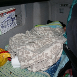 Şoferul unui TIR şi-a ascuns soţia în cabina automarfarului, pentru a o ajuta să treacă ilegal frontiera