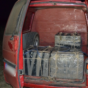 Acţiune de cooperare la frontiera româno-moldoveană