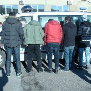 Şase cetăţeni irakieni ascunşi într-un camion cu citrice,  opriţi la frontiera cu Ungaria