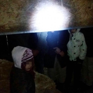 11 cetățeni din Irak și Maroc, opriți la frontieră din drumul ilegal spre Spaţiul Schengen