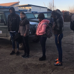 Patru solicitanţi de azil, prinşi când intenţionau să treacă ilegal frontiera în Ungaria