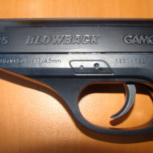 Pistol şi muniţie neletale, depistate la controlul de frontieră