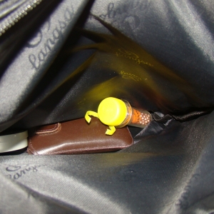 Pistol şi muniţie neletale, depistate la controlul de frontieră