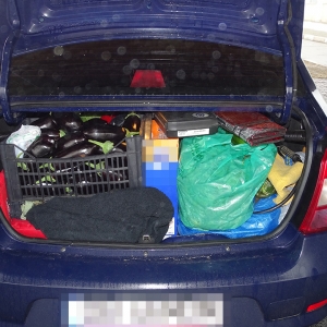 Armă neletală fără documente legale