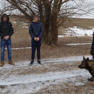 Țigări de contrabandă trecute peste apa râului Prut cu ajutorul unor sfori