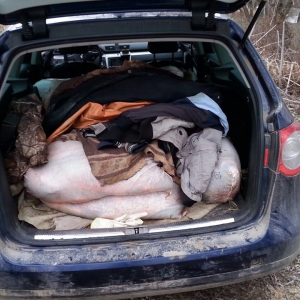 Aproximativ 400 kg peşte fără documente legale, confiscate la Tulcea