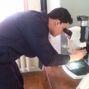 Studenţi ai Academiei de Poliţie Alexandru Ioan Cuza, în stagiul de practică la Garda de Coastă