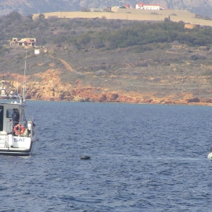 27 de copii și 52 de adulți, salvați de poliţiştii de frontieră români în operațiunea FRONTEX - POSEIDON SEA