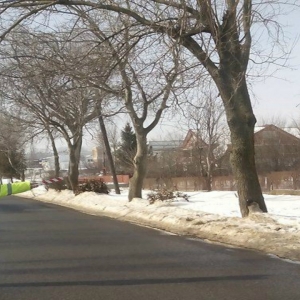 Autoturism cu numere de înmatriculare expirate,descoperit la S.P.F. Ţuţora