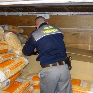 Opt sirieni ascunşi într-un microbuz, depistaţi la PTF Calafat