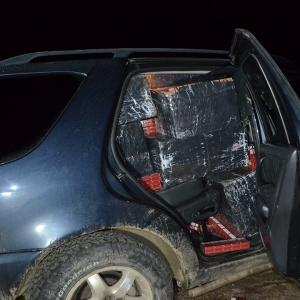 Peste 42.000 de pachete cu țigări, confiscate la frontiera de nord