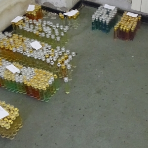 Bunuri susceptibile a fi contrafăcute, confiscate la P.T.F Giurgiu