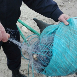 Peste un kilometru de plase monofilament, confiscate de poliţiştii de frontieră tulceni