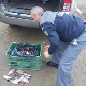 Peşte fără documente legale,  confiscat de poliţiştii de frontieră mehedinţeni