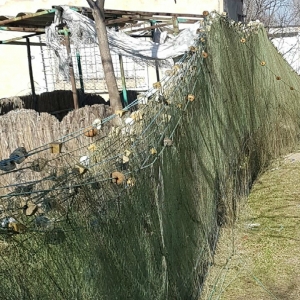 Peste 500 m plase tip setcă, confiscate de poliţiştii de frontieră tulceni