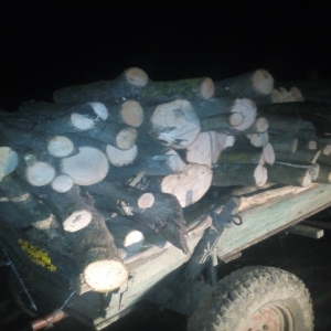 Material lemnos fără documente legale,confiscat de poliţiştii de frontieră brăileni