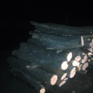 Material lemnos fără documente legale,confiscat de poliţiştii de frontieră brăileni