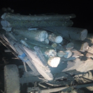 Material lemnos fără documente legale,confiscat de poliţiştii de frontieră brăileni