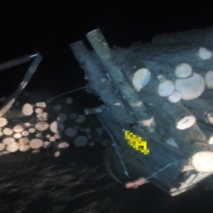 Material lemnos fără documente legale,confiscat de poliţiştii de frontieră brăileni