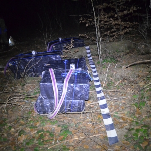 Urmărire în trafic şi focuri de armă pentru reţinerea contrabandiştilor de ţigări