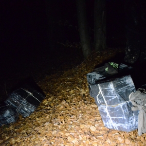 Țigări de contrabandă descoperite la frontiera „verde”