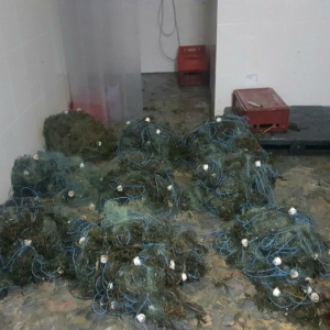 Aproximativ jumătate de tonă de peşte și plase monofilament, confiscate de poliţiştii de frontieră tulceni