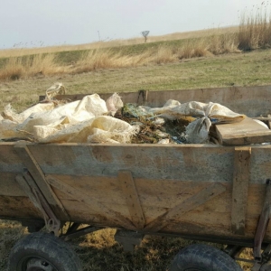 Aproximativ jumătate de tonă de peşte și plase monofilament, confiscate de poliţiştii de frontieră tulceni