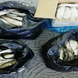 35 kg de scrumbie fără documente legale, confiscate de poliţiştii de frontieră gălăţeni