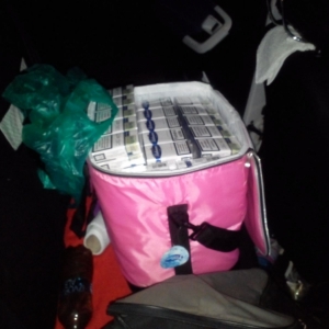 Ţigarete de contrabandă, descoperite de polițiștii de frontieră