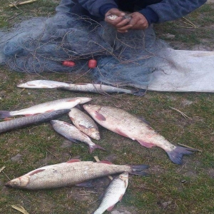 Dosar penal pentru braconaj piscicol