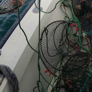 Cuşti de pescuit, descoperite în Marea Neagră