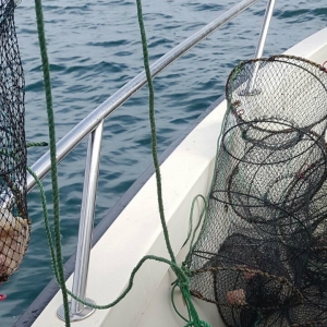 Cuşti de pescuit, descoperite în Marea Neagră